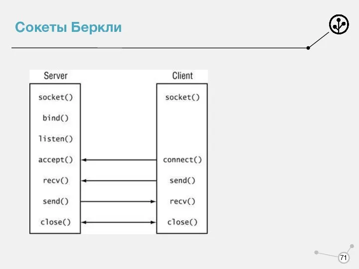 Сокеты Беркли