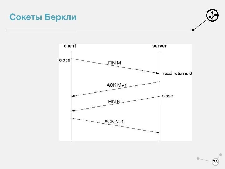 Сокеты Беркли