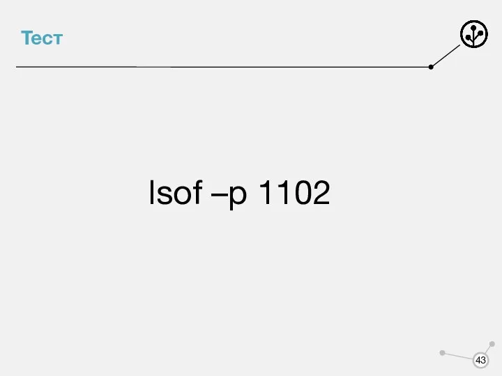 Тест lsof –p 1102