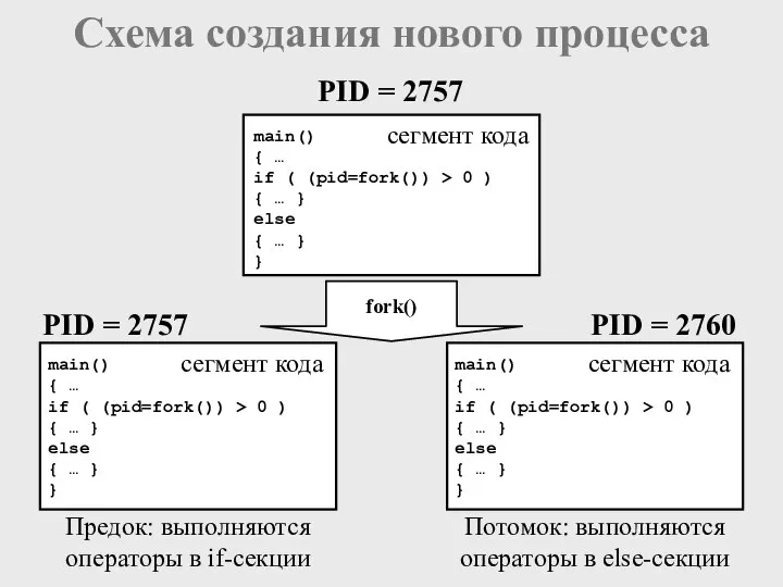 Потомок: выполняются операторы в else-секции Предок: выполняются операторы в if-секции PID