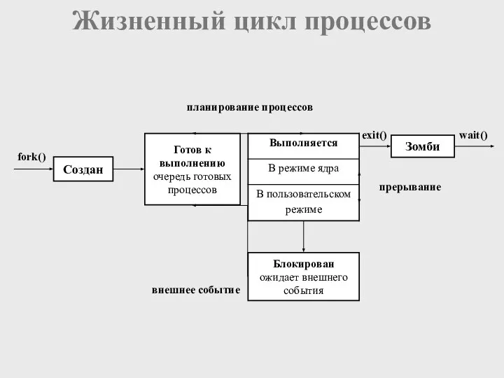 Готов к выполнению очередь готовых процессов планирование процессов Создан fork() Блокирован