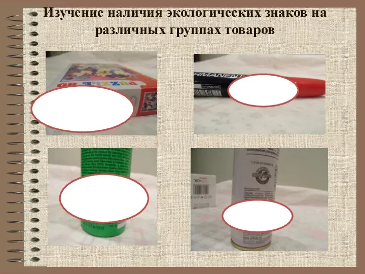 Изучение наличия экологических знаков на различных группах товаров