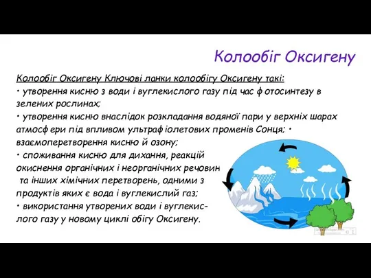 Колообіг Оксигену Колообіг Оксигену Ключові ланки колообігу Оксигену такі: • утворення