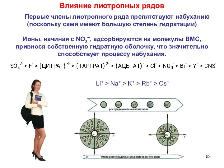 Влияние лиотропных рядов Li+ > Na+ > K+ > Rb+ >