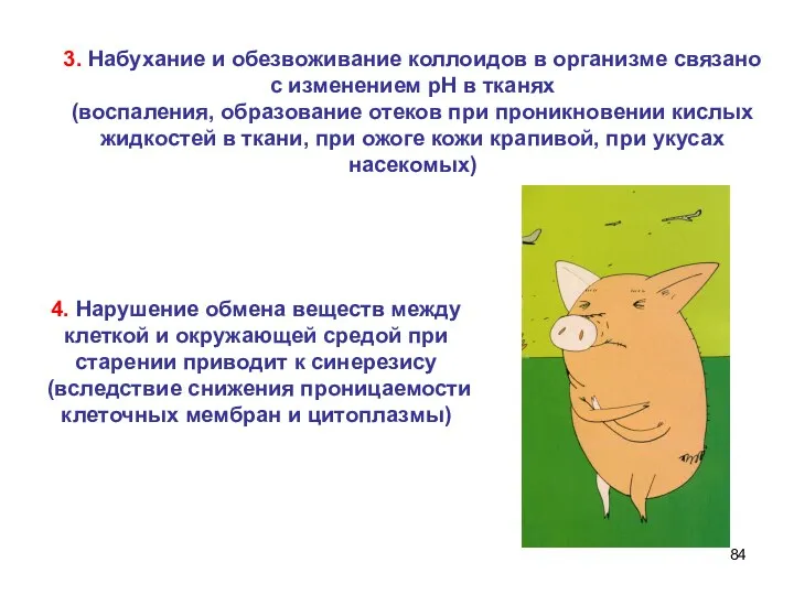 3. Набухание и обезвоживание коллоидов в организме связано с изменением рН