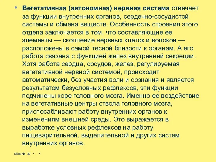 Вегетативная (автономная) нервная система отвечает за функции внутренних органов, сердечно-сосудистой системы