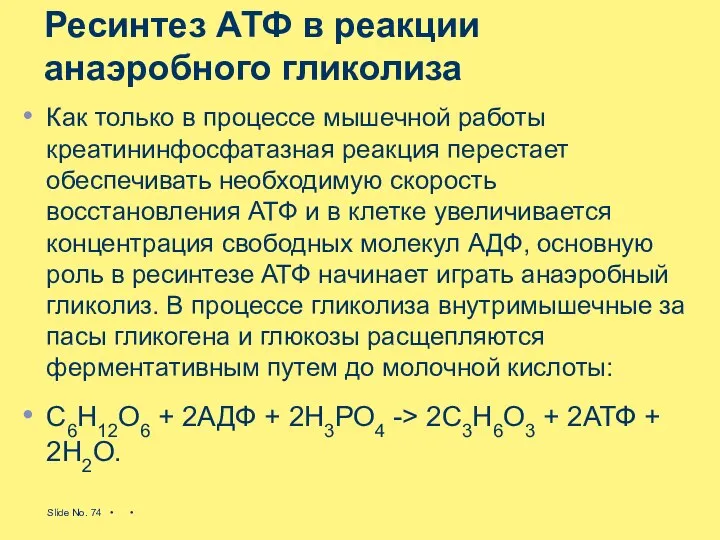 Ресинтез АТФ в реакции анаэробного гликолиза Как только в процессе мышечной