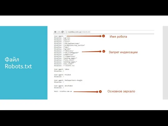 Файл Robots.txt