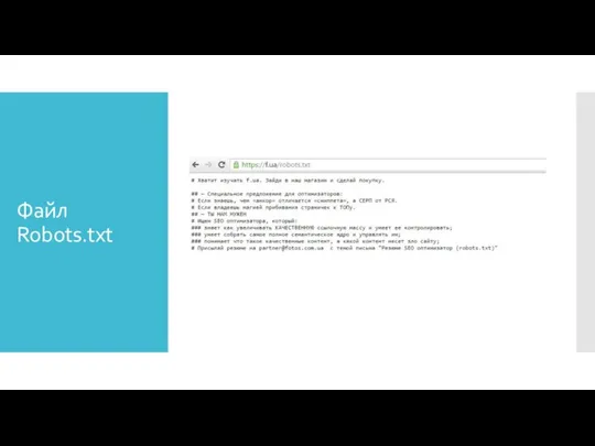 Файл Robots.txt