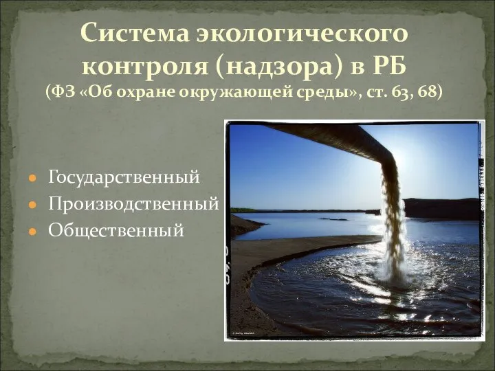 Государственный Производственный Общественный Система экологического контроля (надзора) в РБ (ФЗ «Об