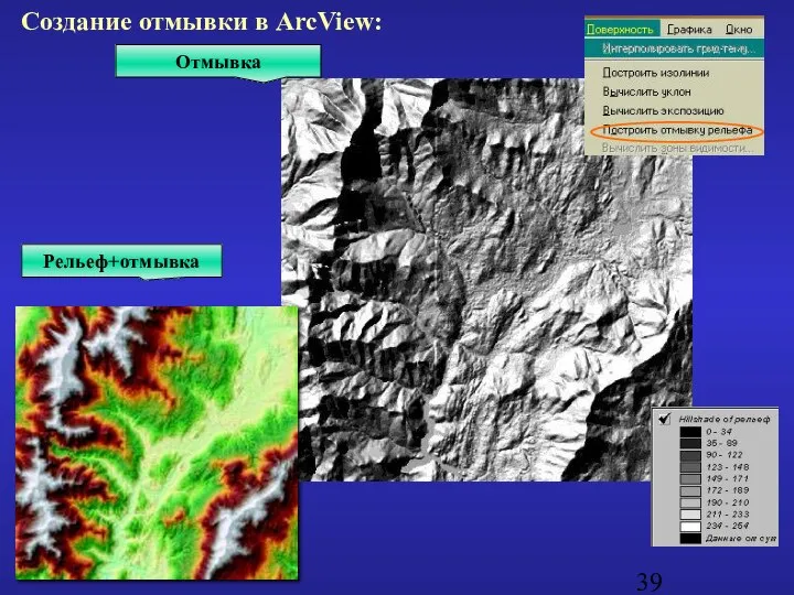 Отмывка Создание отмывки в ArcView: Рельеф+отмывка