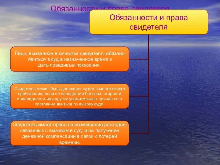 Обязанности и права свидетеля