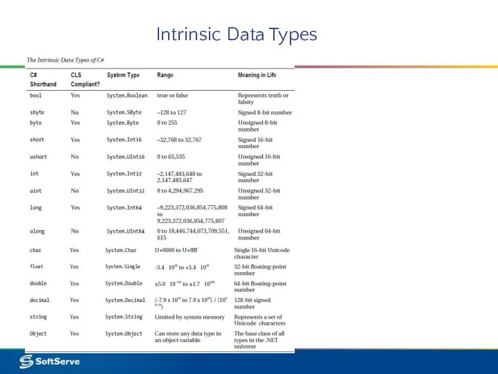 Intrinsic Data Types