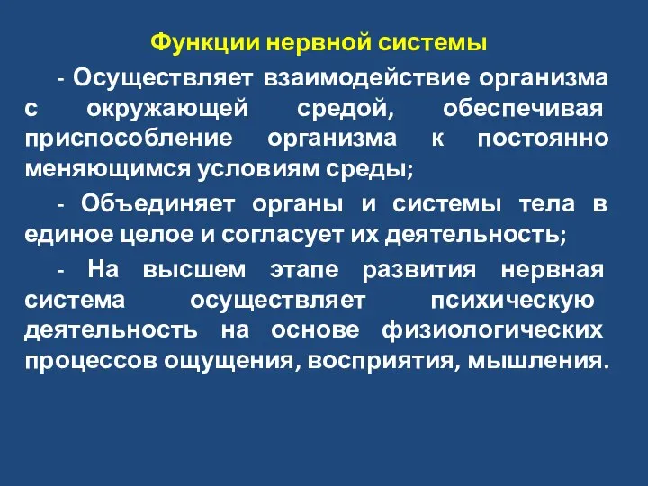 Функции нервной системы - Осуществляет взаимодействие организма с окружающей средой, обеспечивая