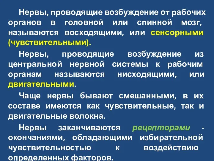 Нервы, проводящие возбуждение от рабочих органов в головной или спинной мозг,