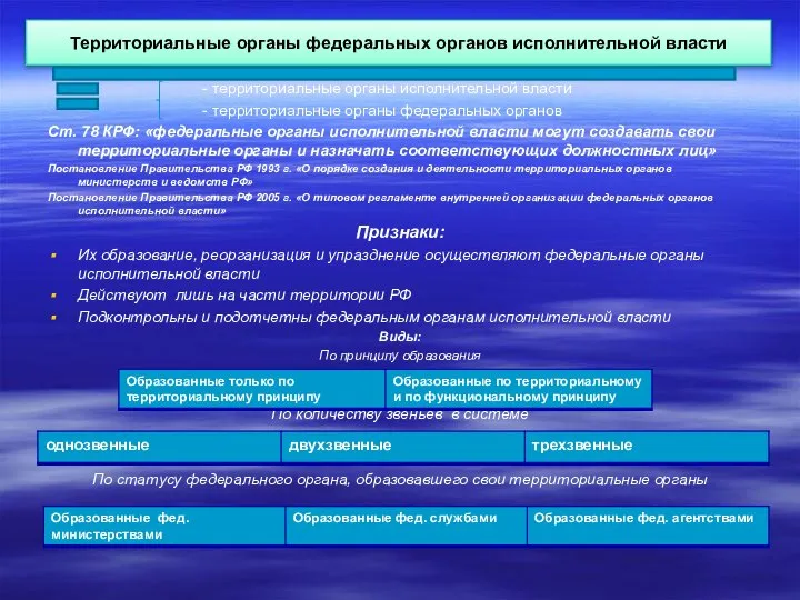 Территориальные органы федеральных органов исполнительной власти - территориальные органы исполнительной власти