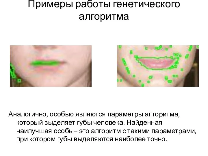 Примеры работы генетического алгоритма Аналогично, особью являются параметры алгоритма, который выделяет