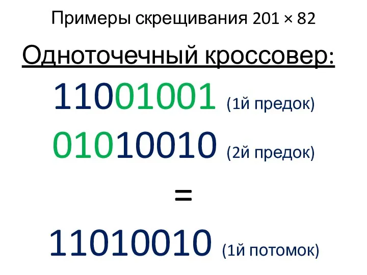 Примеры скрещивания 201 × 82 Одноточечный кроссовер: 11001001 (1й предок) 01010010