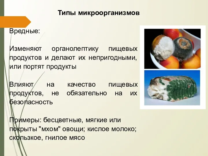 Типы микроорганизмов Вредные: Изменяют органолептику пищевых продуктов и делают их непригодными,