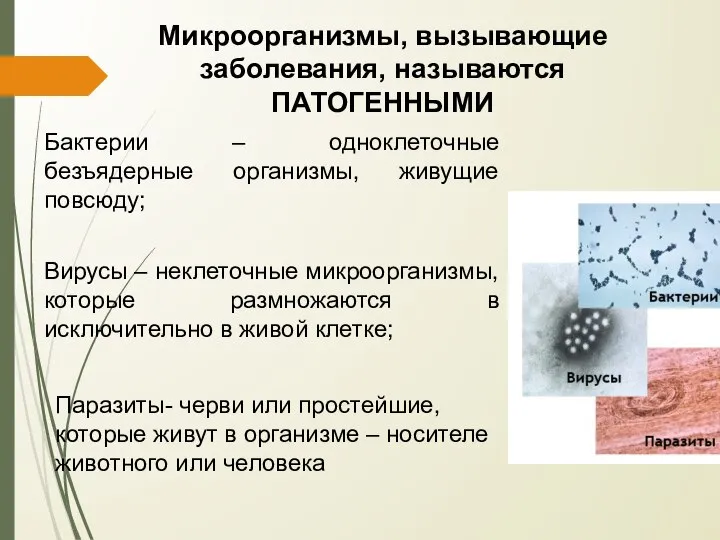 Микроорганизмы, вызывающие заболевания, называются ПАТОГЕННЫМИ Бактерии – одноклеточные безъядерные организмы, живущие