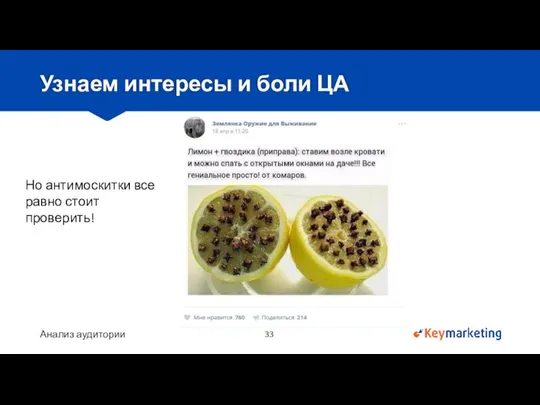 Анализ аудитории Узнаем интересы и боли ЦА Но антимоскитки все равно стоит проверить!