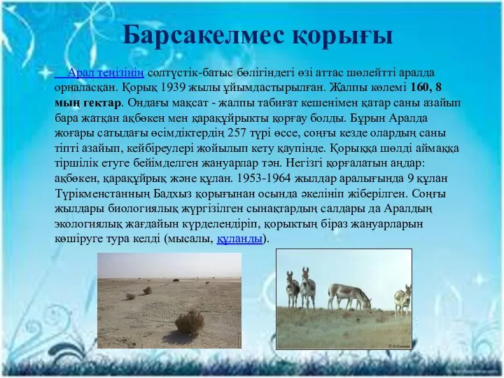 Барсакелмес қорығы Арал теңізінің солтүстік-батыс бөлігіндегі өзі аттас шөлейтті аралда орналасқан.