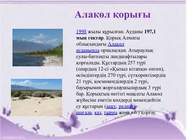 Алакөл қорығы 1998 жылы құрылған. Ауданы 197,1 мың гектар. Қорық Алматы