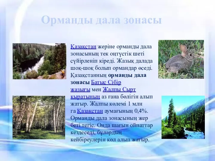 Орманды дала зонасы Қазақстан жеріне орманды дала зонасының тек оңтүстік шеті