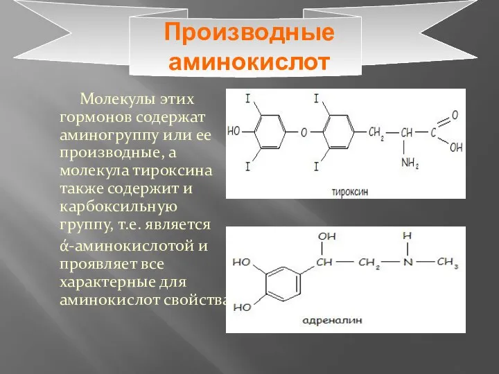 Производные аминокислот Молекулы этих гормонов содержат аминогруппу или ее производные, а