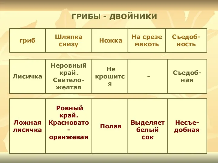 ГРИБЫ - ДВОЙНИКИ гриб Шляпка снизу Лисичка Неровный край. Светело- желтая