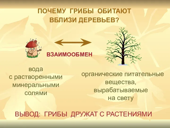 вода с растворенными минеральными солями органические питательные вещества, вырабатываемые на свету