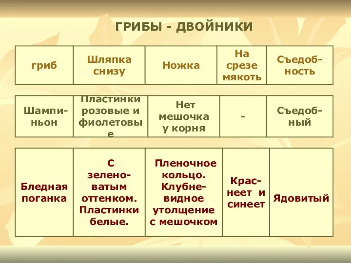 ГРИБЫ - ДВОЙНИКИ гриб Шляпка снизу Шампи- ньон Пластинки розовые и