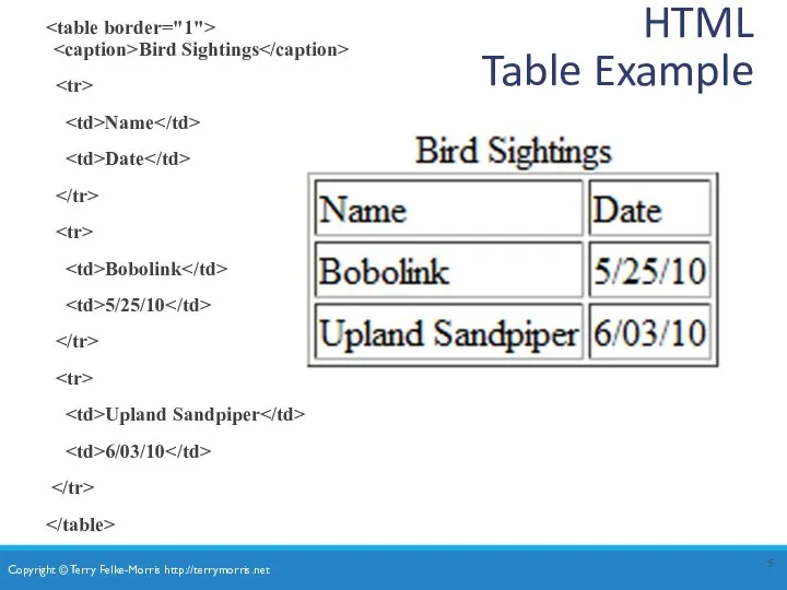HTML Table Example Bird Sightings Name Date Bobolink 5/25/10 Upland Sandpiper 6/03/10