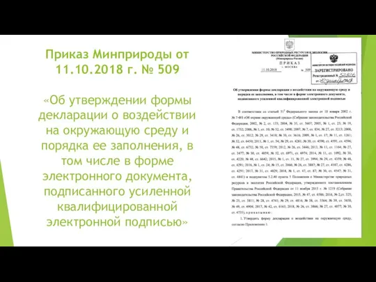 Приказ Минприроды от 11.10.2018 г. № 509 «Об утверждении формы декларации