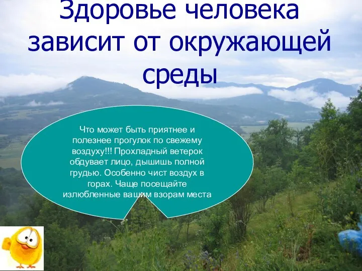 Здоровье человека зависит от окружающей среды Что может быть приятнее и