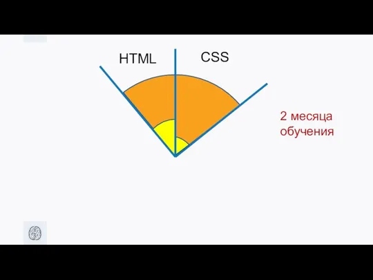 HTML CSS 2 месяца обучения