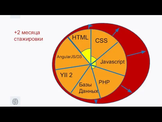 HTML CSS Javascript +2 месяца стажировки PHP Базы Данных AngularJS/D3 YII 2