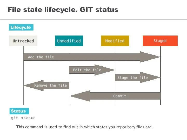 File state lifecycle. GIT status git status This command is used