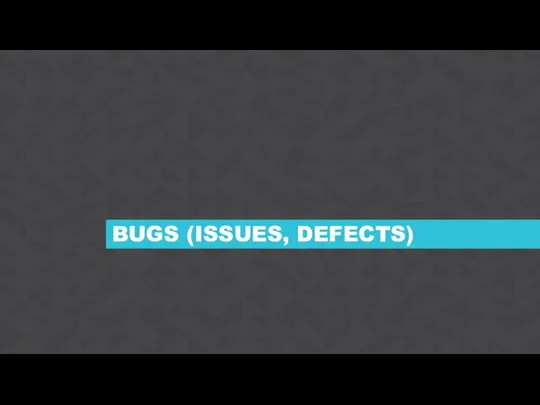 BUGS (ISSUES, DEFECTS)