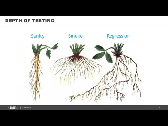 DEPTH OF TESTING Smoke Sanity Regression
