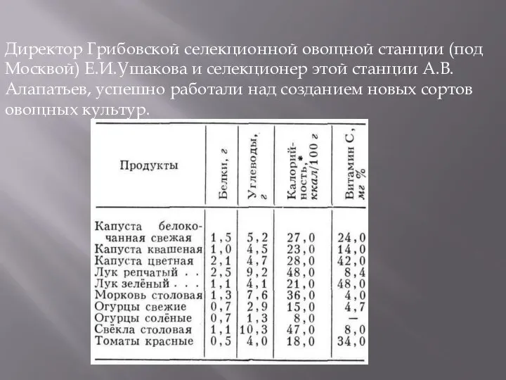 Директор Грибовской селекционной овощной станции (под Москвой) Е.И.Ушакова и селекционер этой