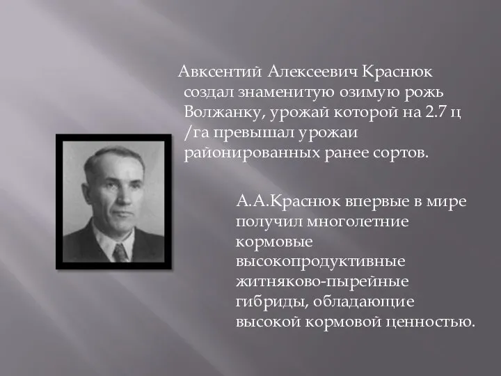 Авксентий Алексеевич Краснюк создал знаменитую озимую рожь Волжанку, урожай которой на