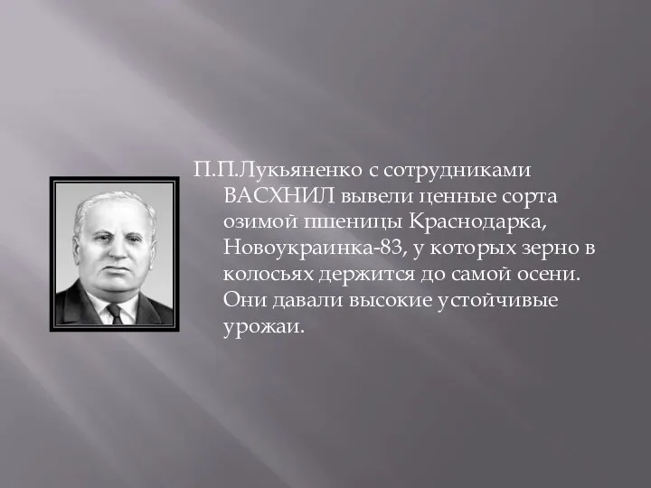 П.П.Лукьяненко с сотрудниками ВАСХНИЛ вывели ценные сорта озимой пшеницы Краснодарка, Новоукраинка-83,