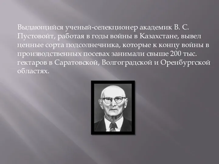 Выдающийся ученый-селекционер академик В. С. Пустовойт, работая в годы войны в