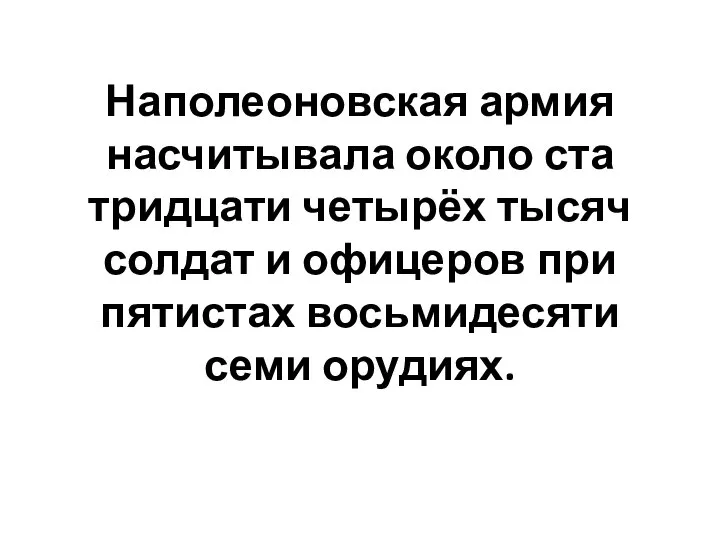 Наполеоновская армия насчитывала около ста тридцати четырёх тысяч солдат и офицеров при пятистах восьмидесяти семи орудиях.