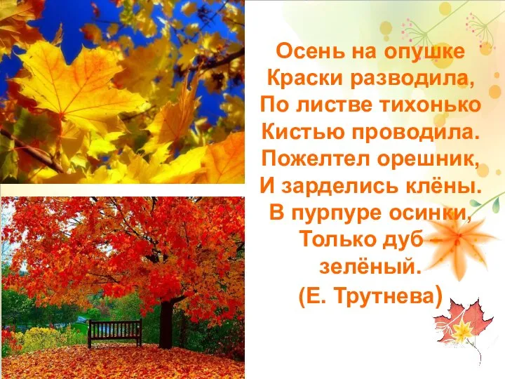 Осень на опушке Краски разводила, По листве тихонько Кистью проводила. Пожелтел