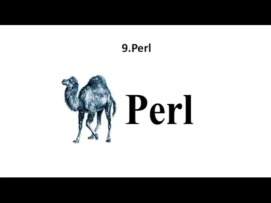 9.Perl