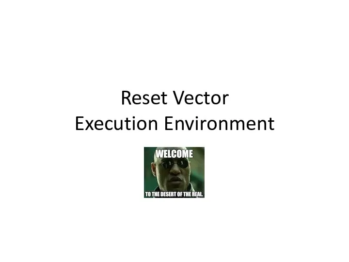 Reset Vector Execution Environment