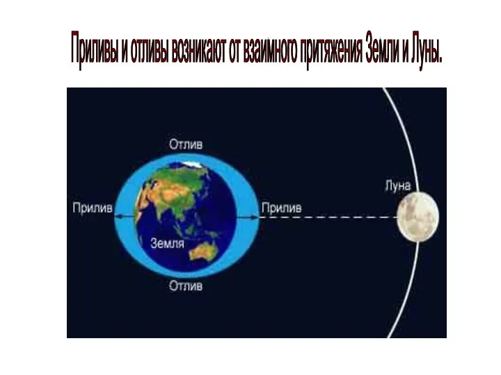 Приливы и отливы возникают от взаимного притяжения Земли и Луны.