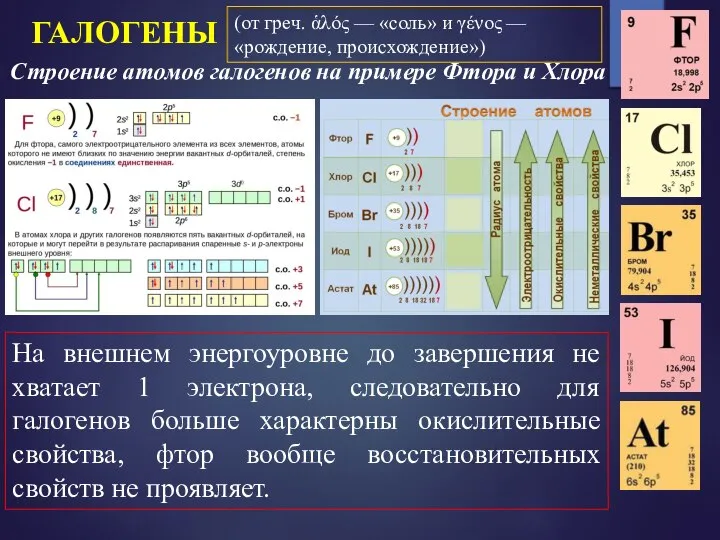 ГАЛОГЕНЫ Строение атомов галогенов на примере Фтора и Хлора На внешнем